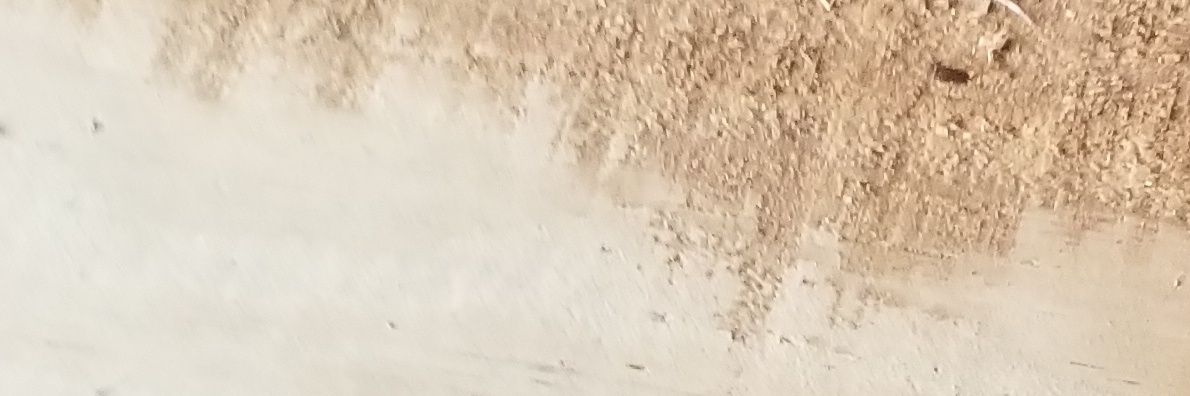 Ride Out Music banner