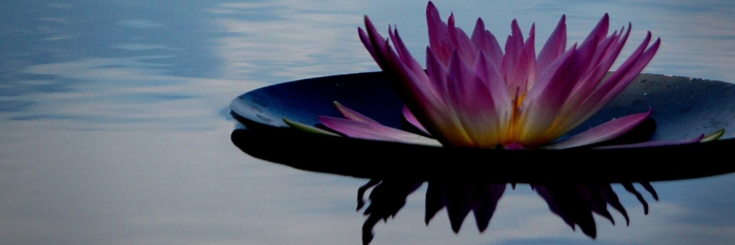 shundadena's profile banner image