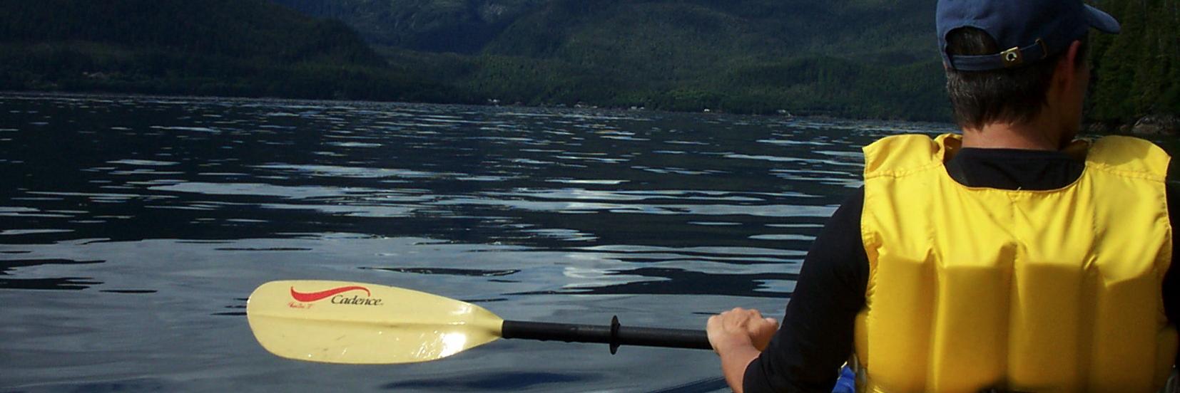 dennvec's profile banner image