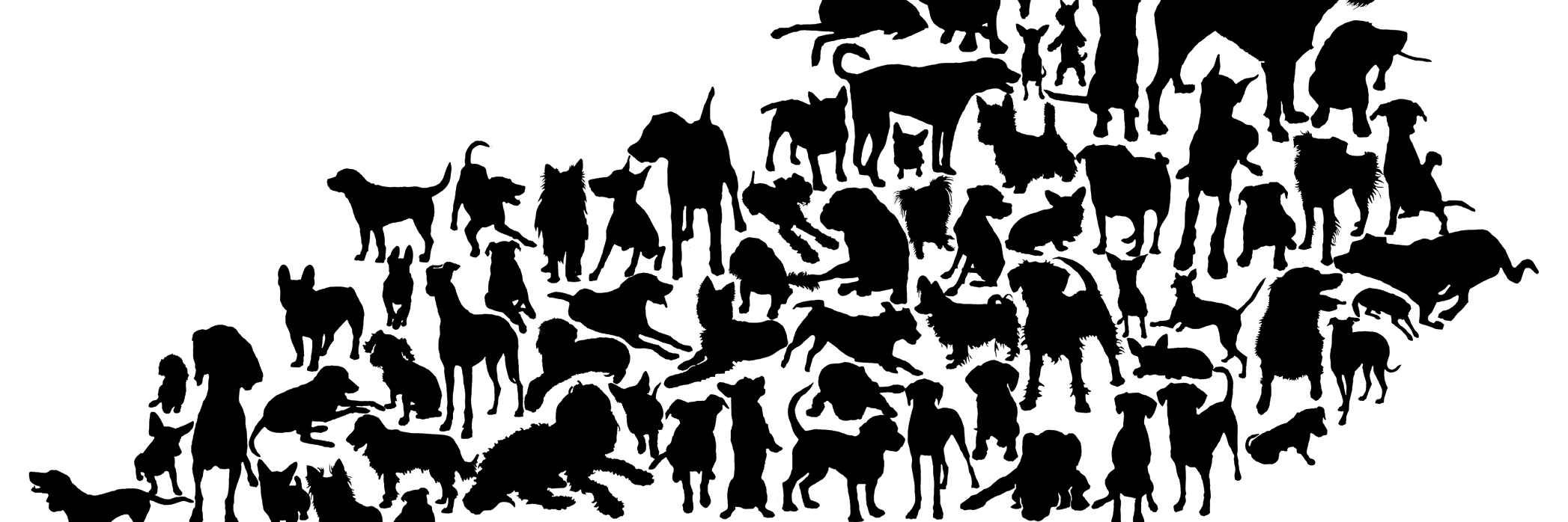 bgbarkery's profile banner image