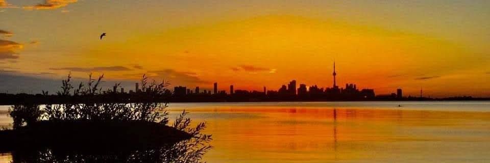 TREV0RAJ's profile banner image