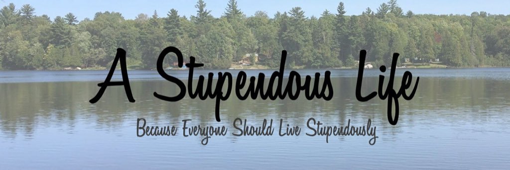 BeStupendous's profile banner image