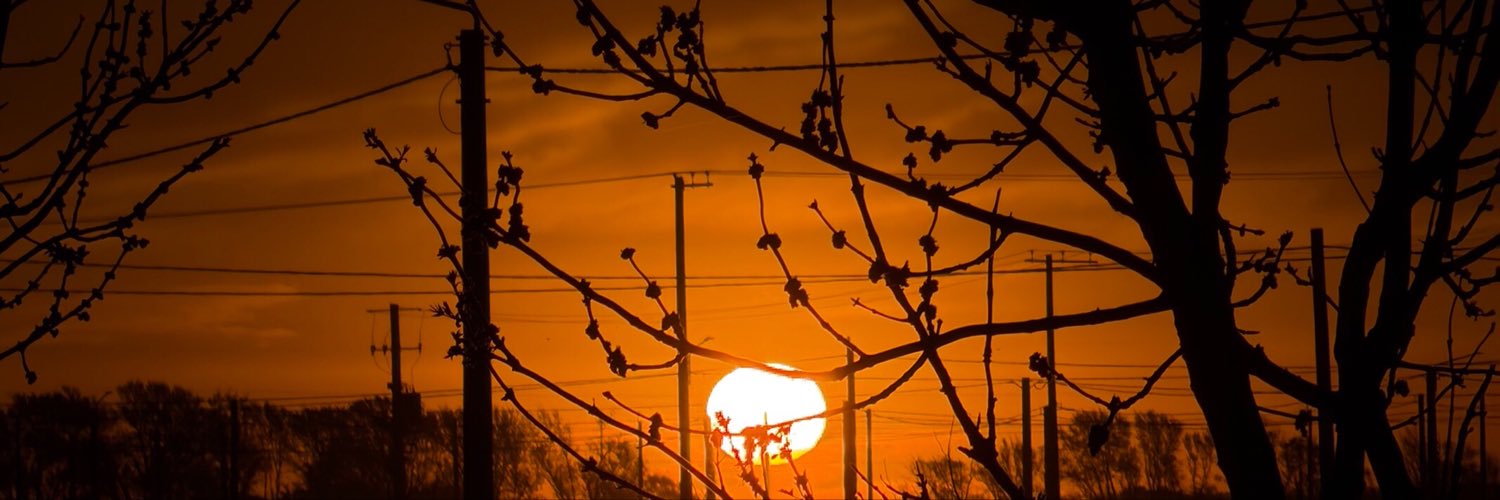 Ce_gardon's profile banner image