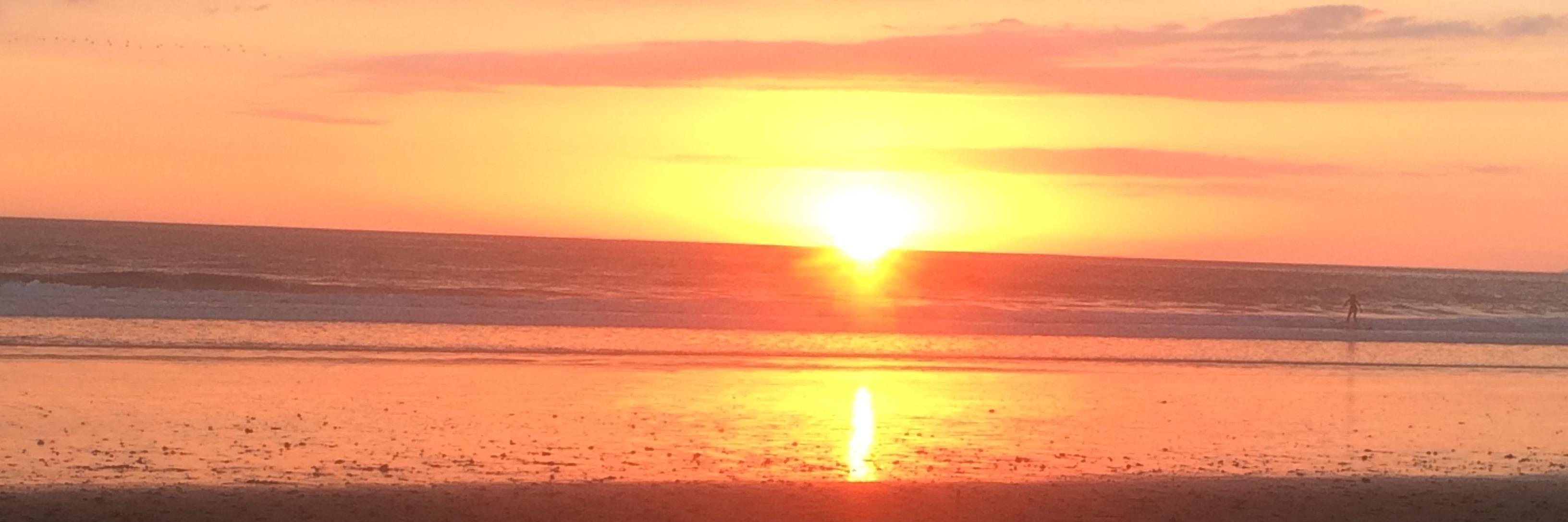 rofeliz's profile banner image