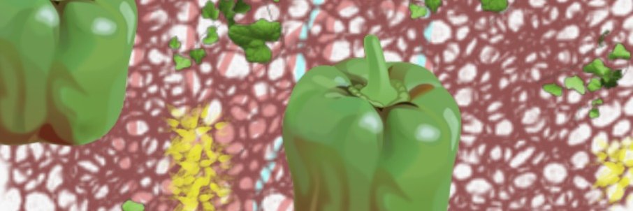 san_petra's profile banner image