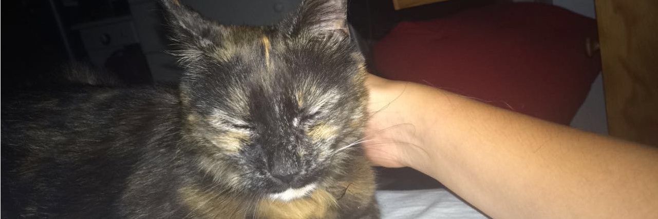 btw_lils's profile banner image