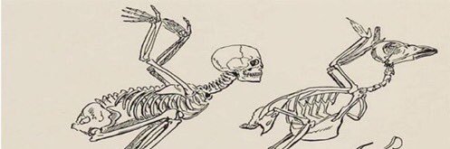 ntdan64's profile banner image