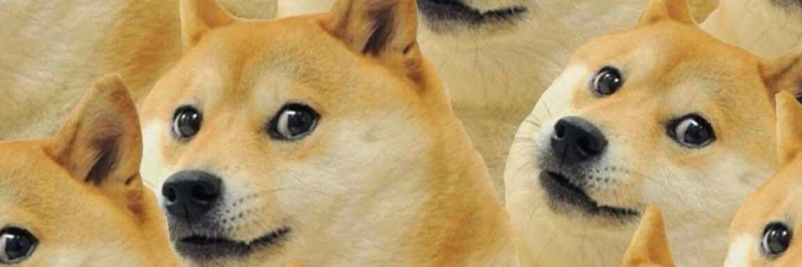 cindyCA17's profile banner image