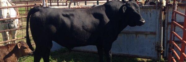 GP3FarmLLC's profile banner image