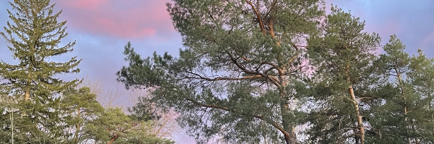 Tris_Moore12's profile banner image