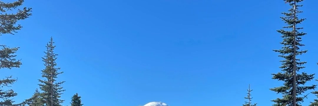 poussissou's profile banner image