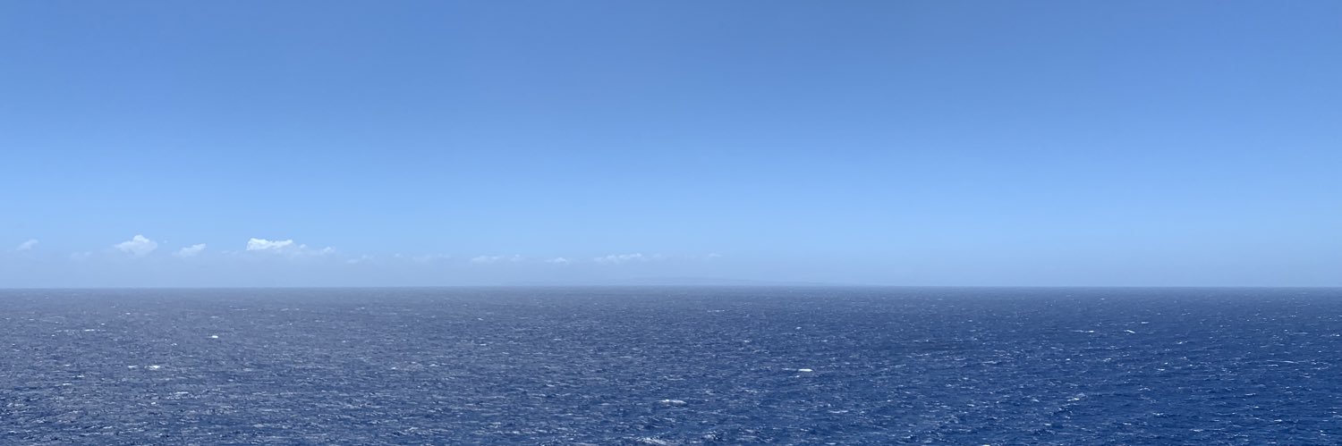 Von Gray MD, MPH banner