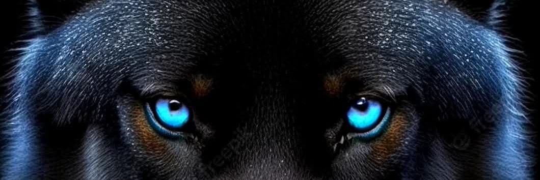 sol_joe's profile banner image