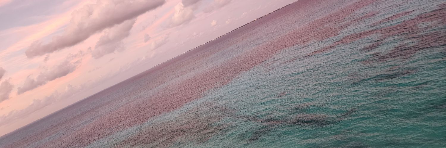 Dul_Lobos's profile banner image