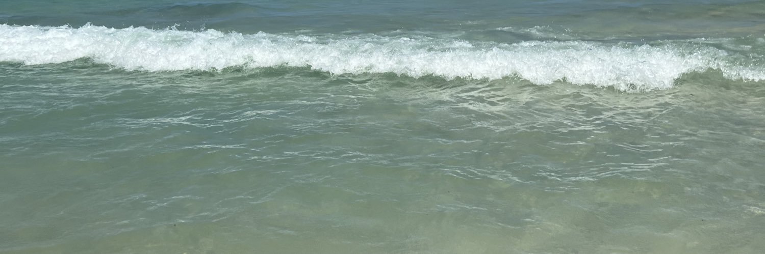 allyylopeee's profile banner image