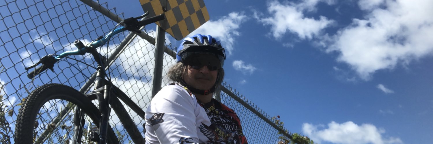 Raceguitar banner