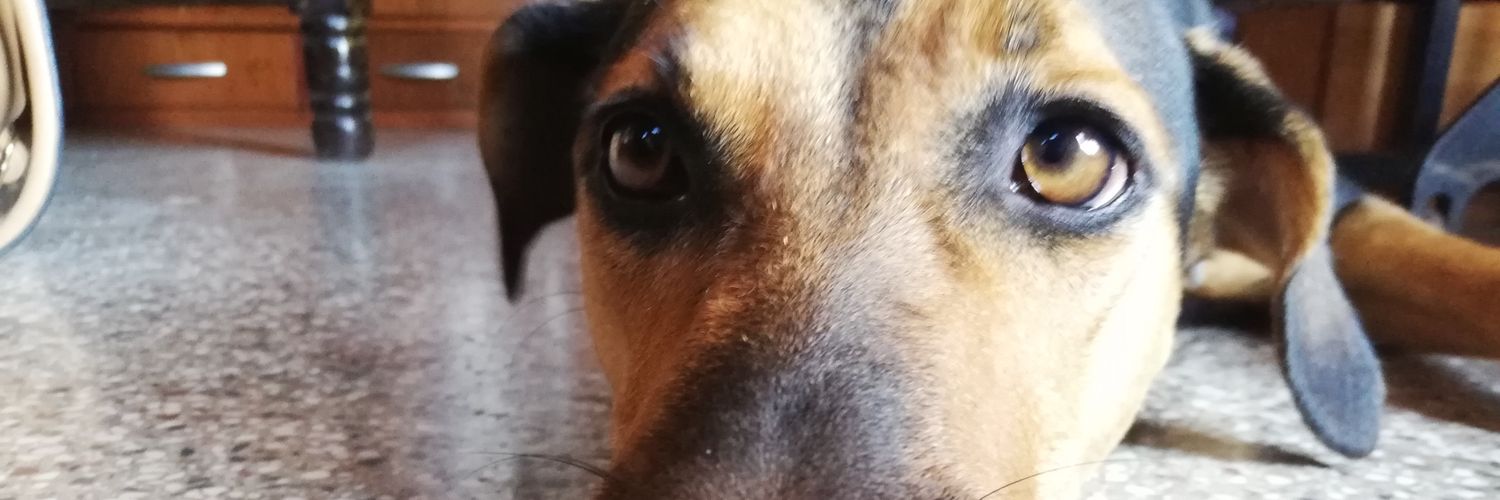 lopezsop's profile banner image