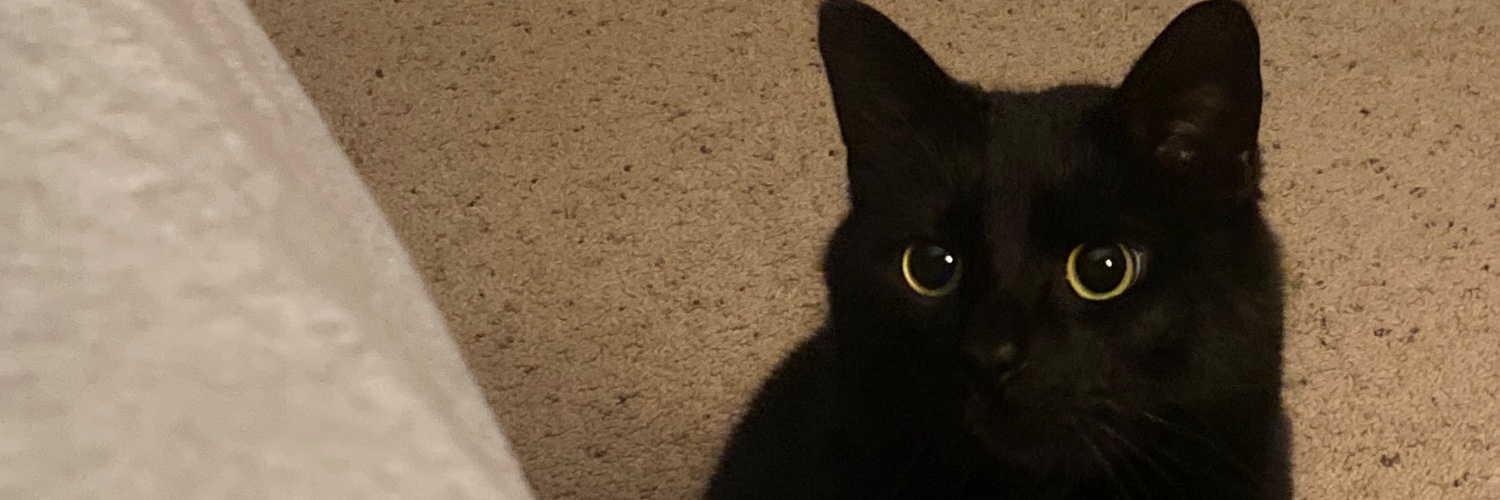 sarah banner