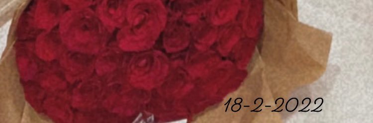 srooooooo's profile banner image