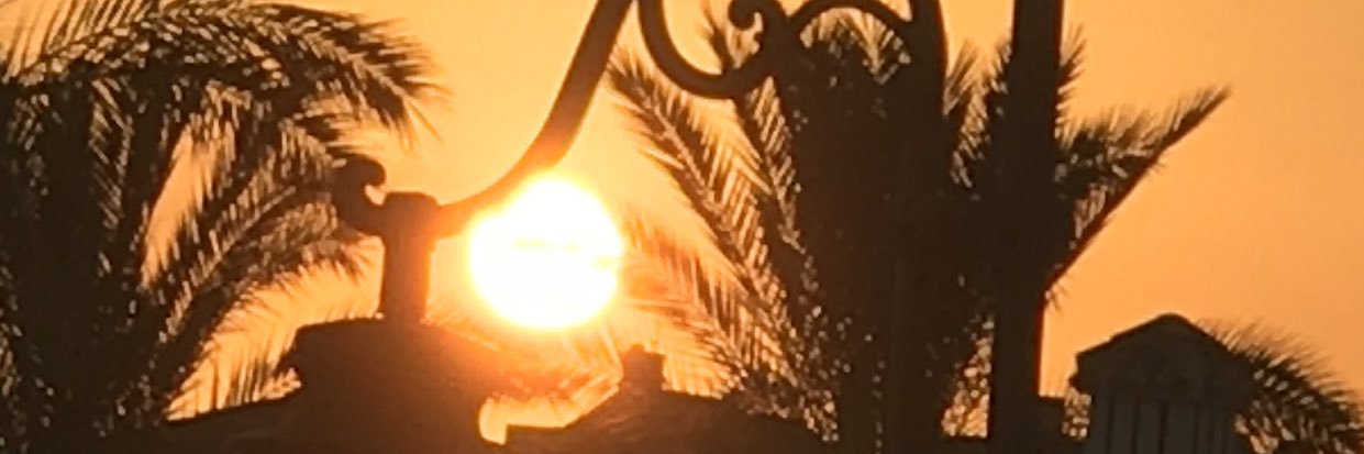 elishman's profile banner image
