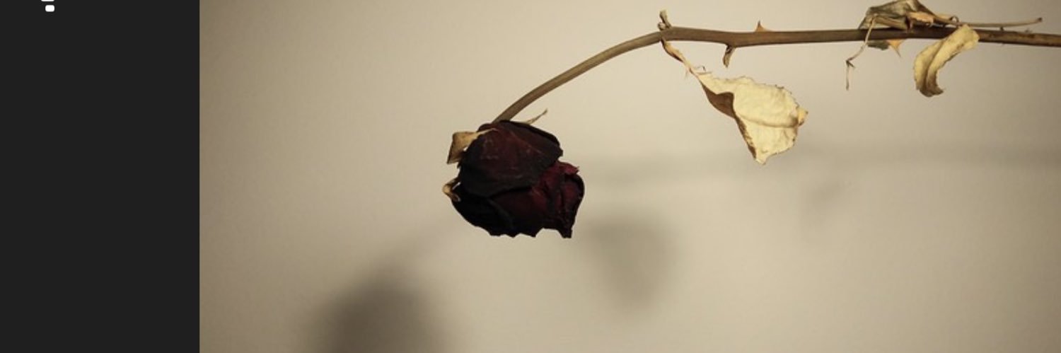 CozyTR_'s profile banner image