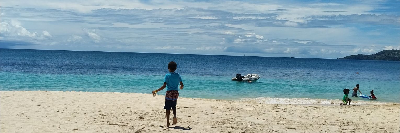 🌻 Stacy 🌻 banner