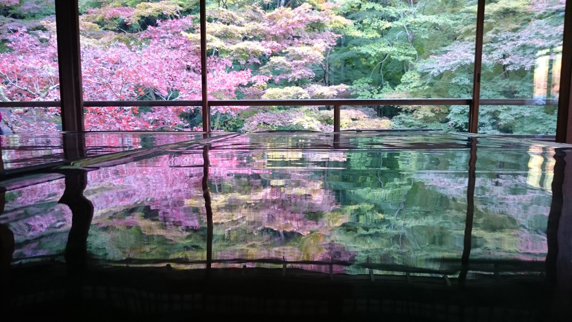 tamaemon_gamba's profile banner image