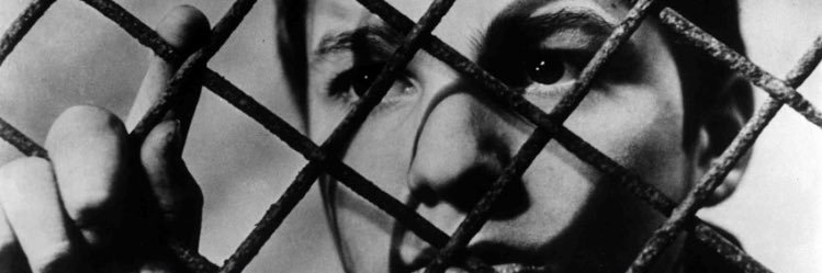 salcisneros's profile banner image