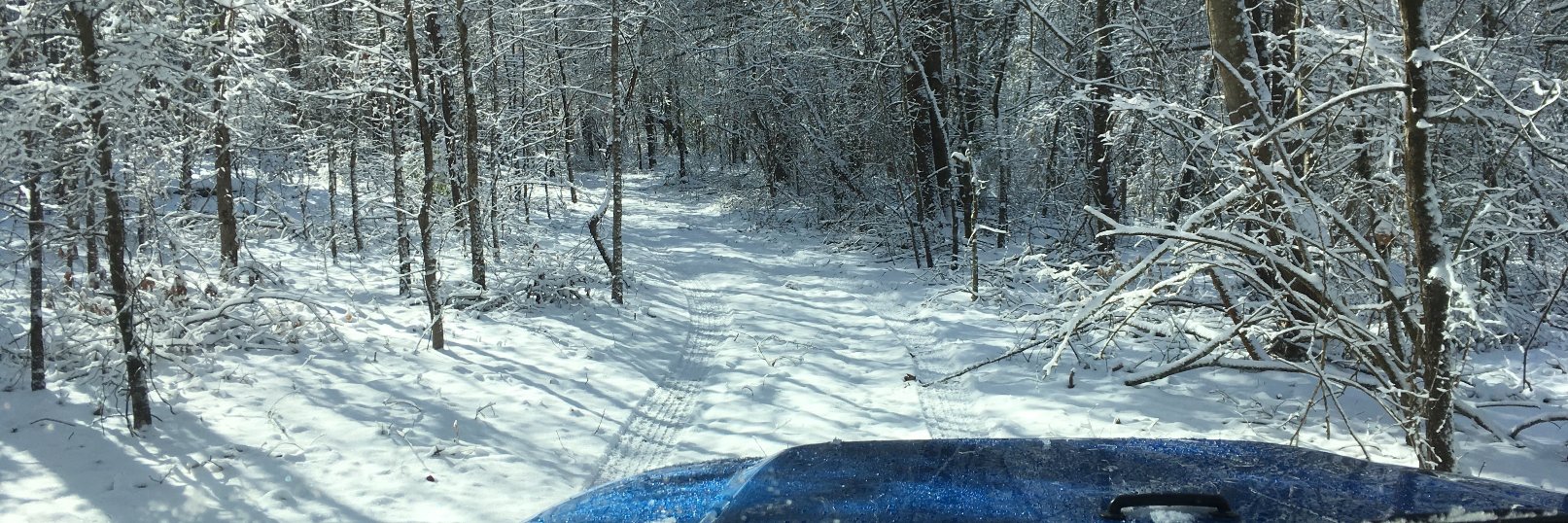 Rick Jefferds banner