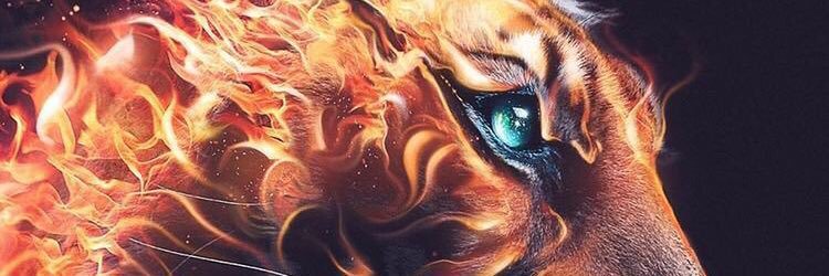 IgnacioSuaid's profile banner image