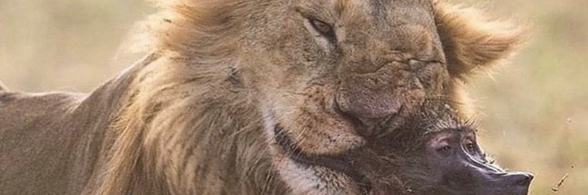 1brendan__'s profile banner image
