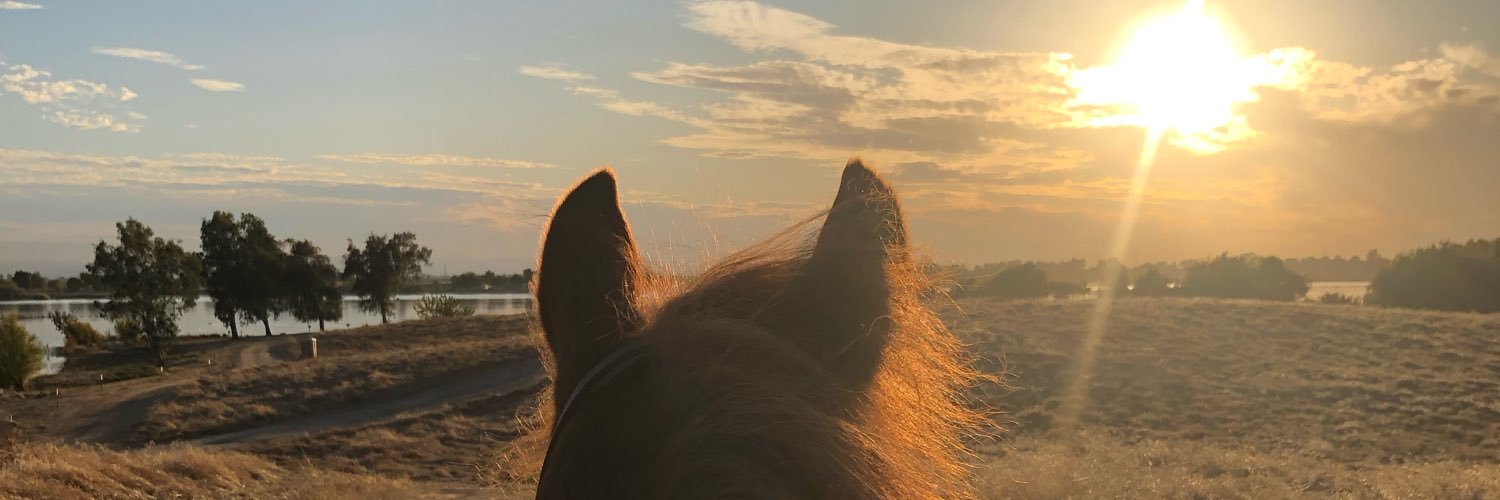 SiscoKylee's profile banner image