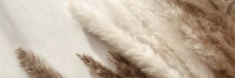 C_renae7's profile banner image