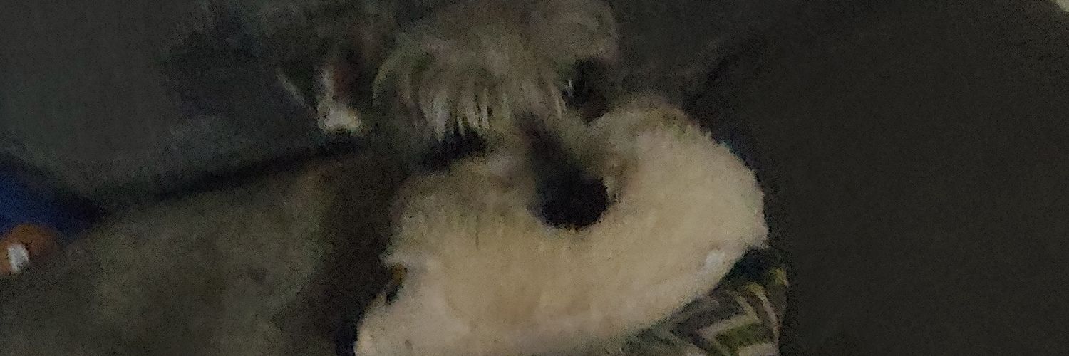 Viruckla's profile banner image