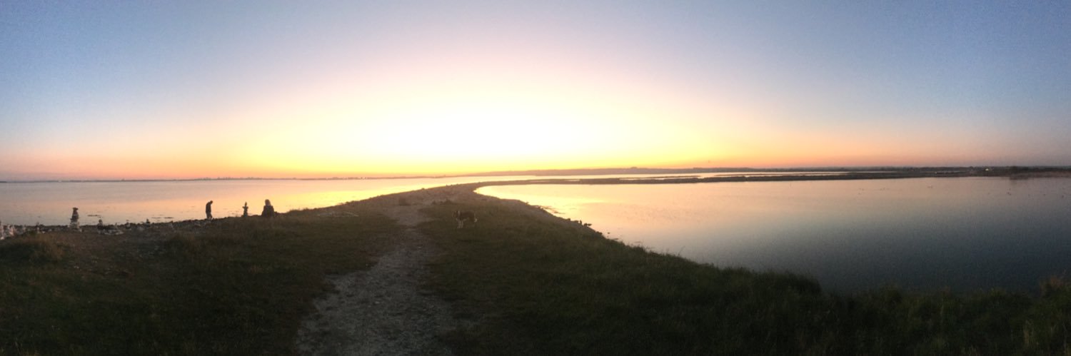 Carrie Thomas 💙 banner