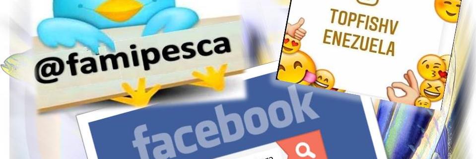 Famipesca's profile banner image