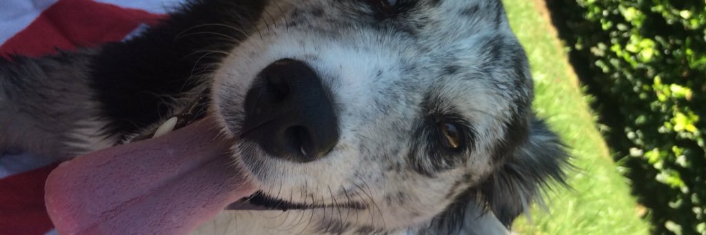 lilaub_'s profile banner image