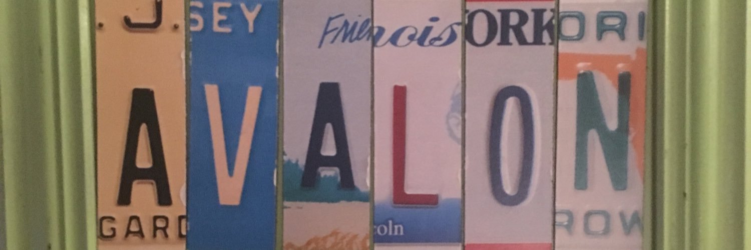 ShellyMcNamee's profile banner image