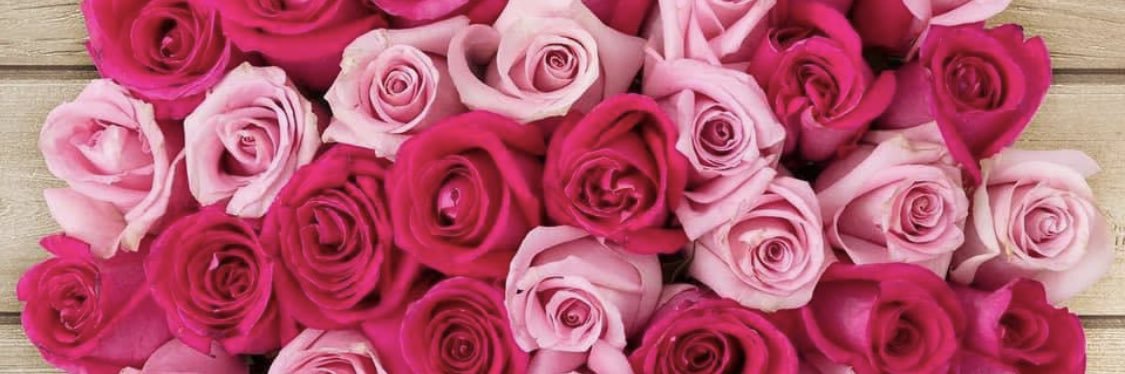 fiercecherry's profile banner image