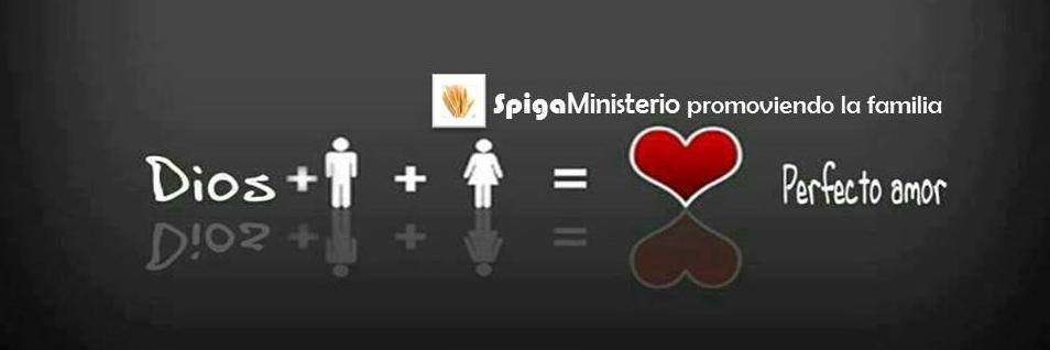 SpigaMinisterio's profile banner image