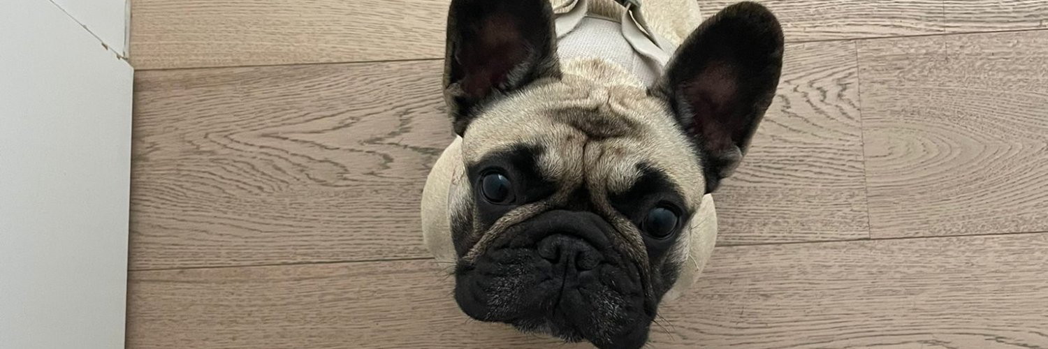 mieketobi's profile banner image