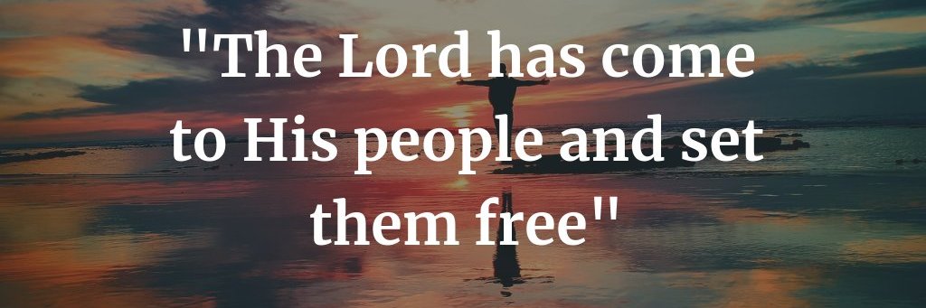 Paulie B 🇬🇧 banner