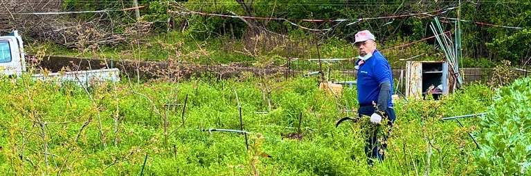 尾道のコロ banner