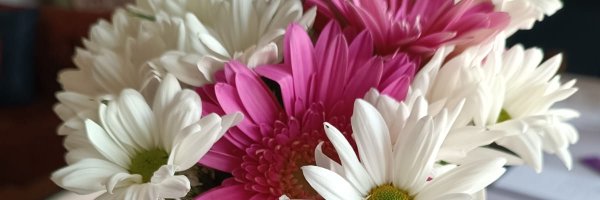 nahide44 Profile Banner