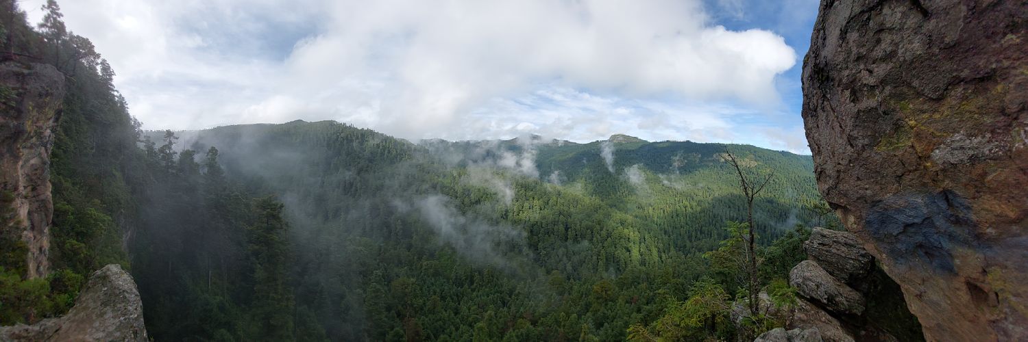 Braulio J. Méndez S. banner