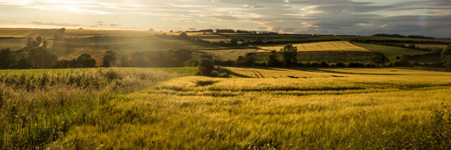 danhallturner's profile banner image