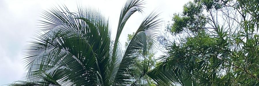 hugovillacres's profile banner image