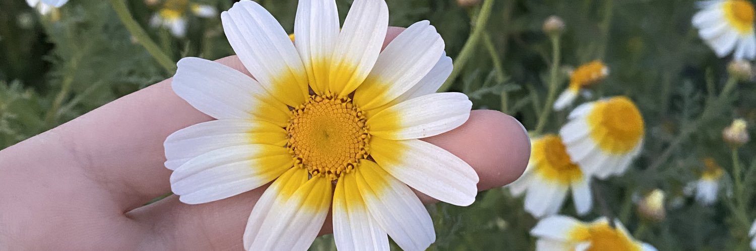 halimecoban's profile banner image