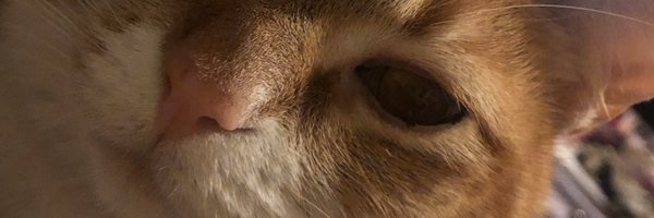 ZuriHunter Profile Banner