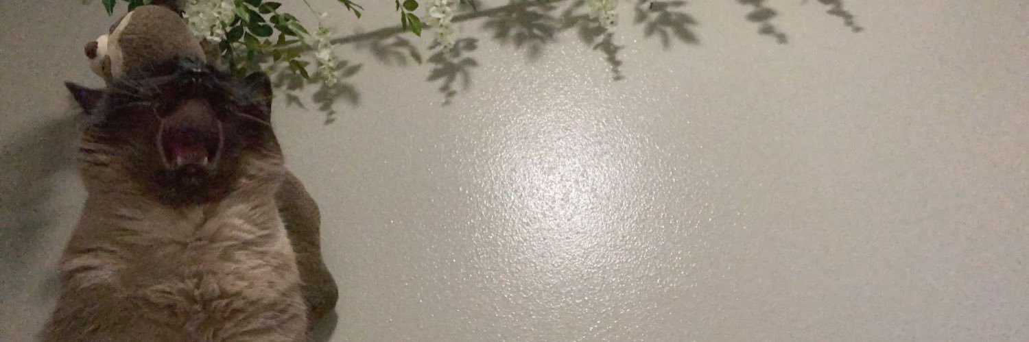 nadiascdia's profile banner image